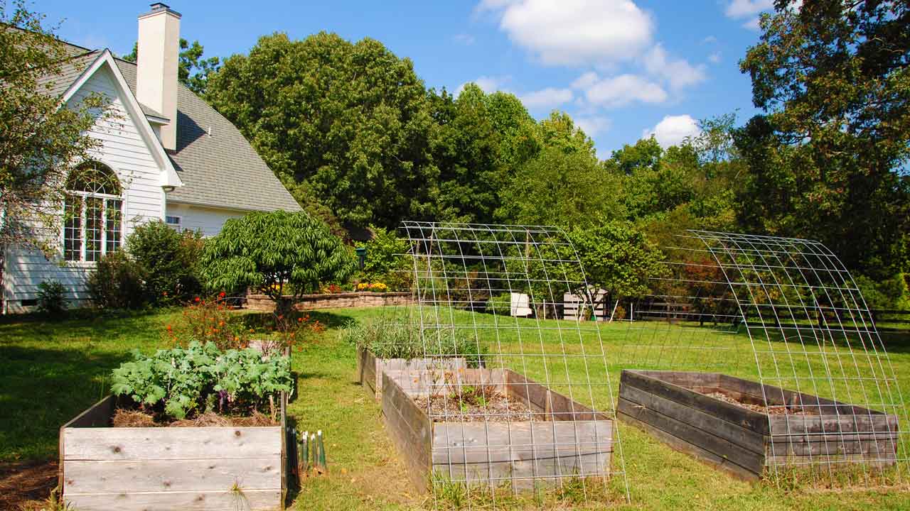 Beautiful garden beds at Chevel Noir with vibrant plants and landscaping