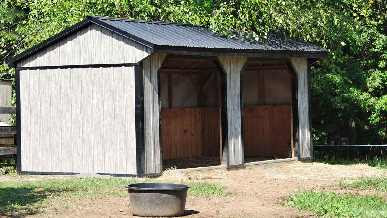 Cheval Noir horse farm featuring a well-maintained run-in shed with scenic pastures