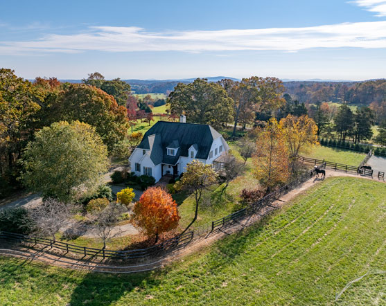 Albemarle horse farm