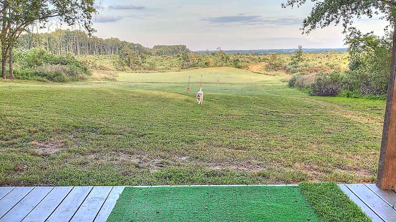 Mickle Knox - Driving range with putting course and scenic surroundings