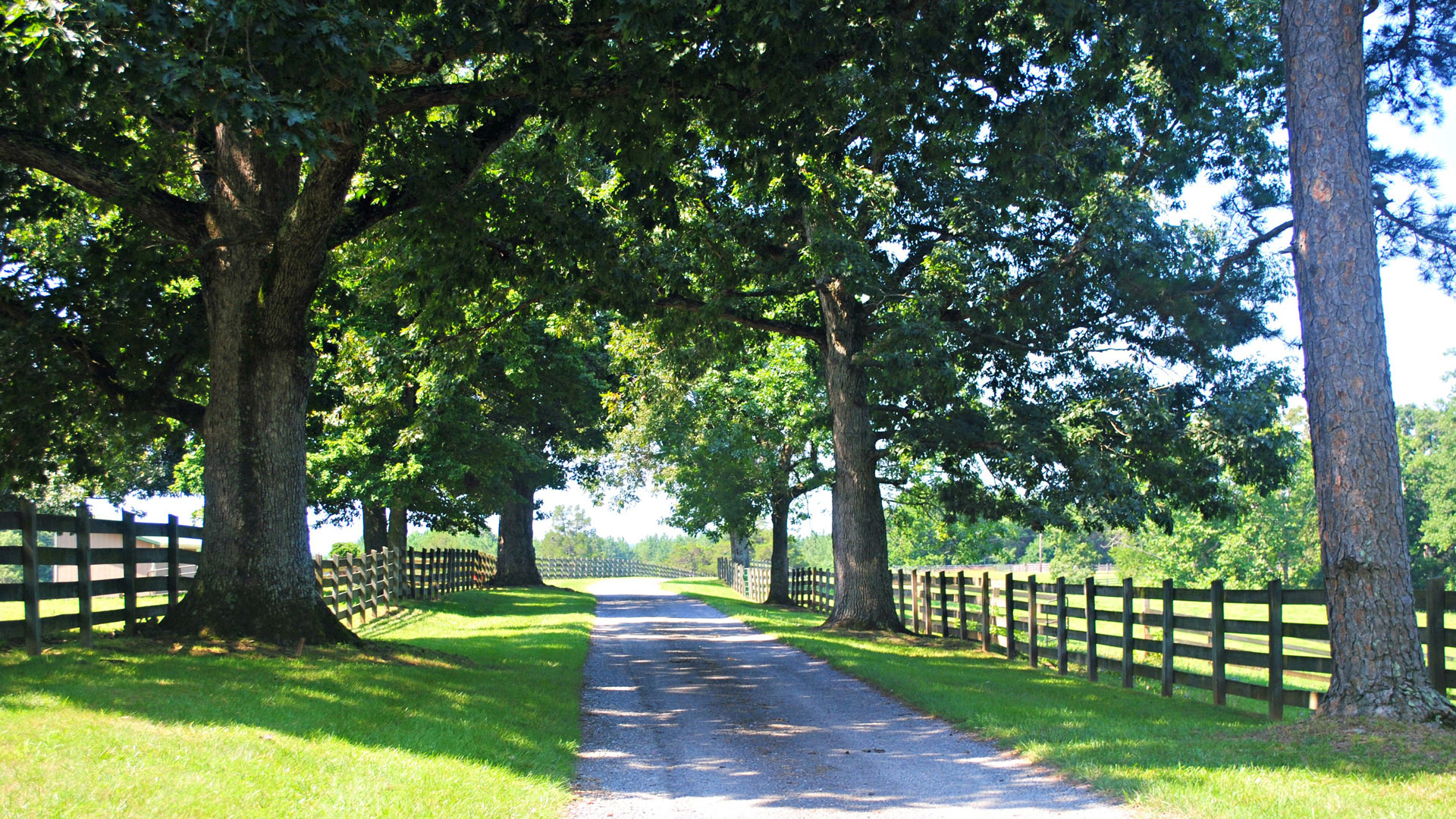 horse farm