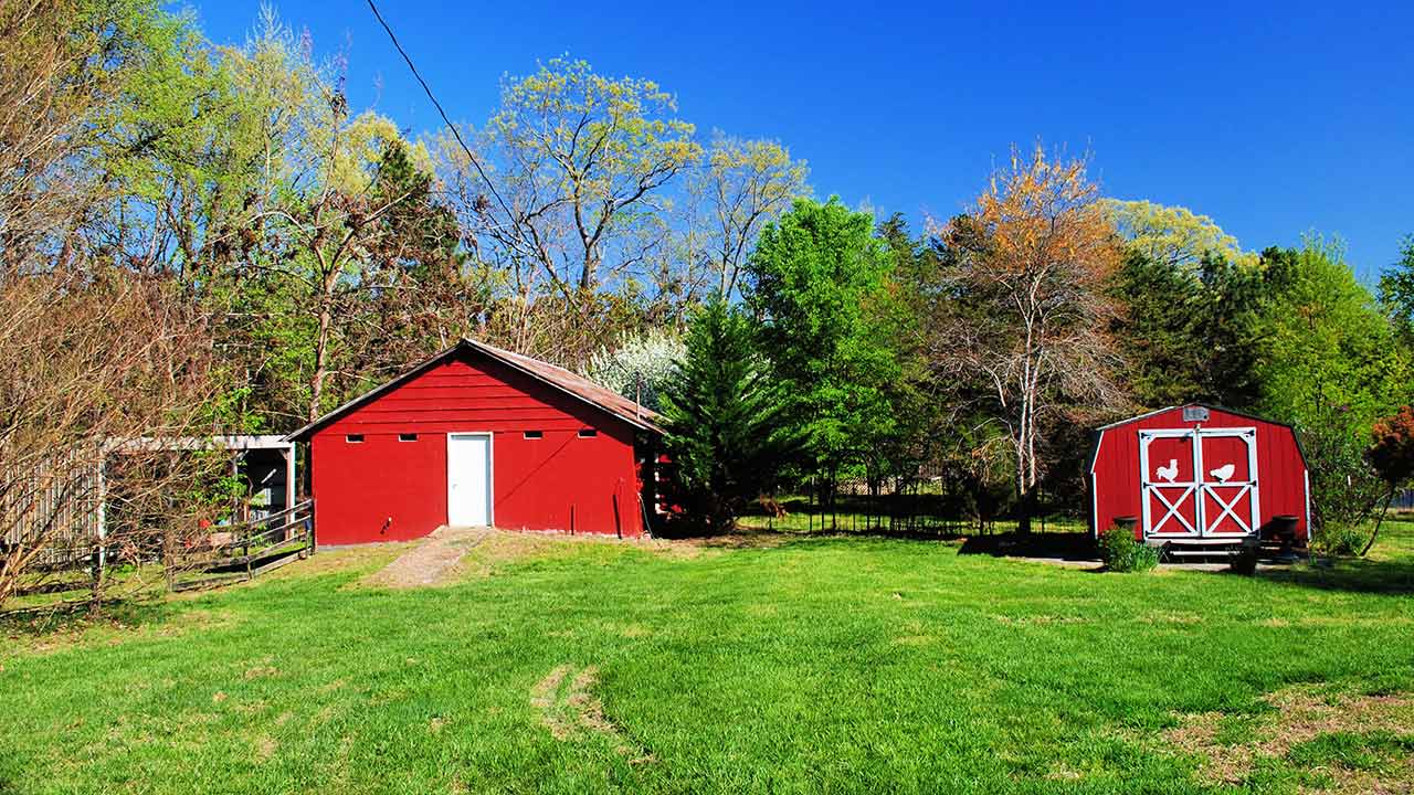 Palmyra Hill Farm